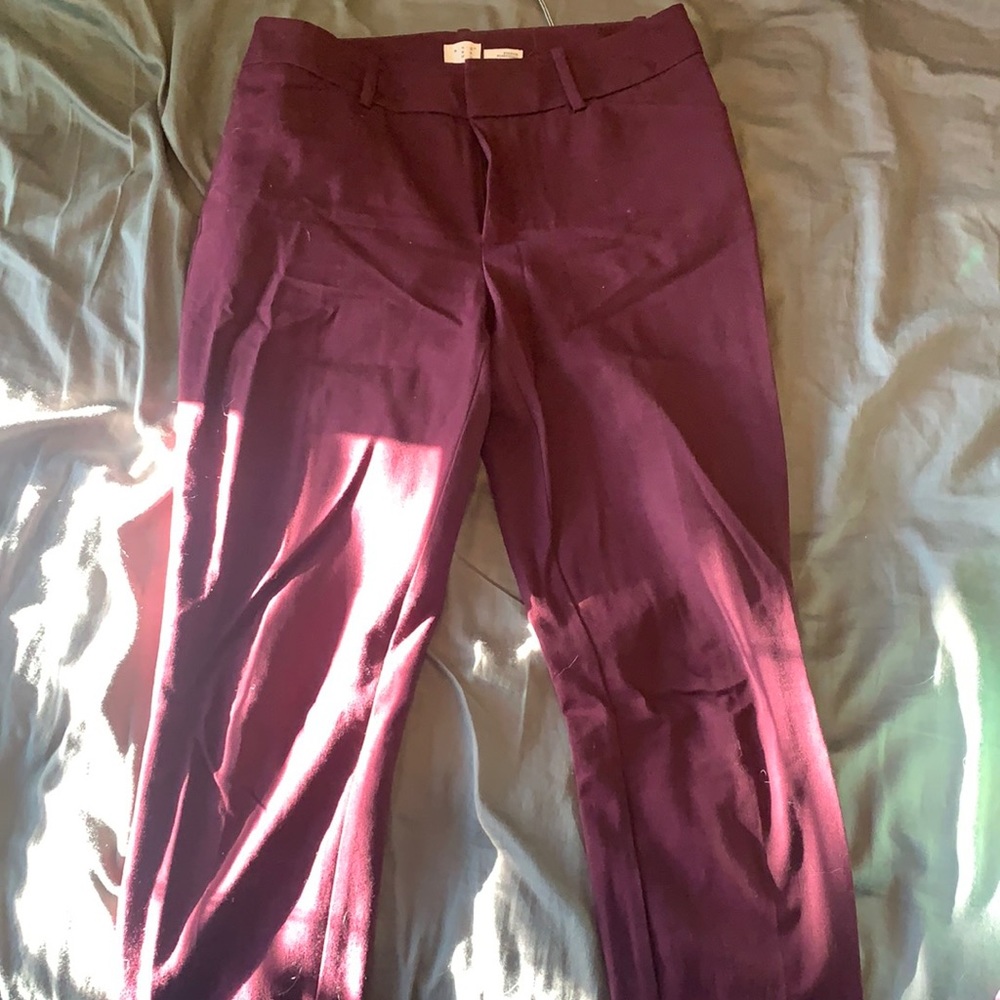 Maroon slacks - full length